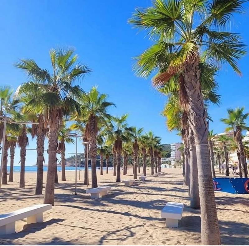 Mar de Oropesa - image 43