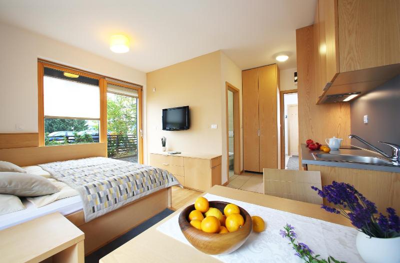Studio with Balcony or Terrace image 4