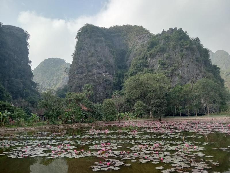 Tam Coc Mountain Light Homestay - image 32