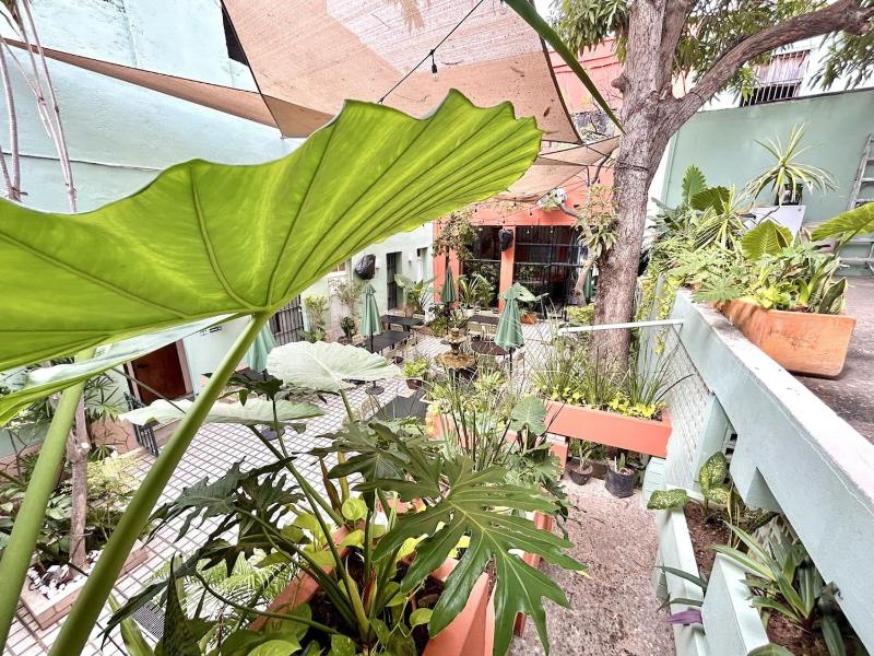 Casa Feliz Playa Norte - image 11