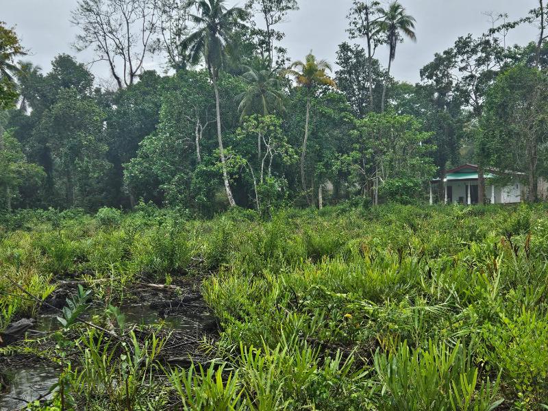 Mendis Villa - image 44
