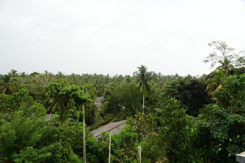 View point hikka - image 7
