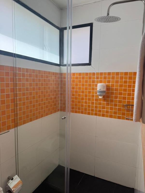 Hotel Dorado Ferial - image 6