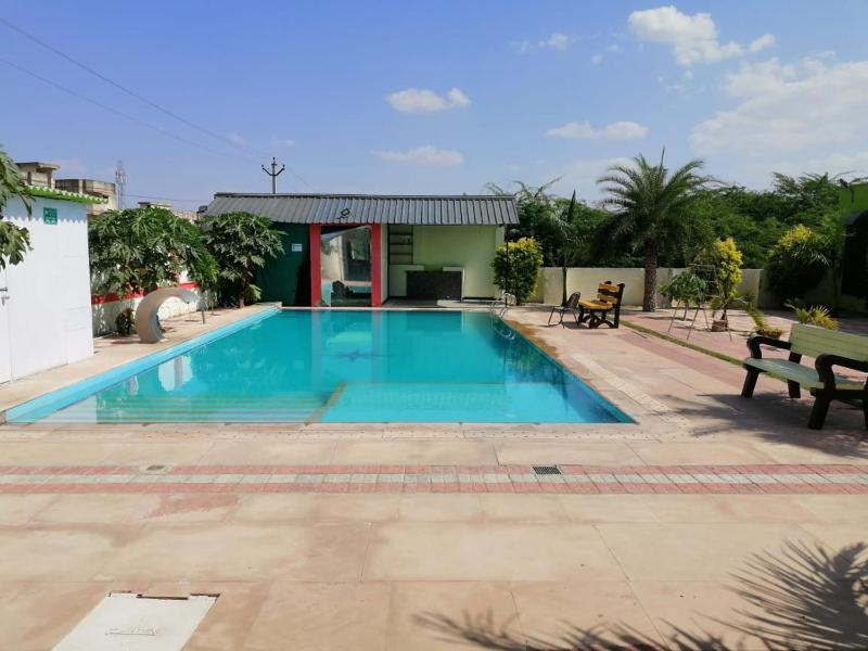 Palm FarmHouse Resort N Swimming Pool Nareli Ajmer Masala Darbar - image 12