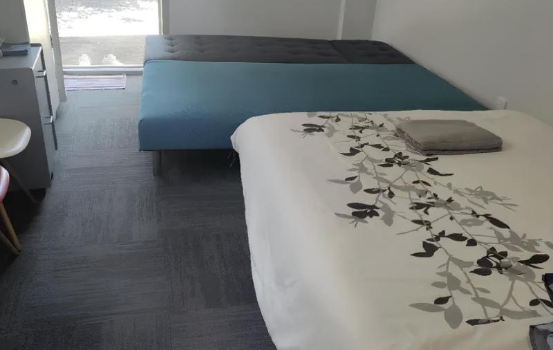 Two Double Bed including 1 double sofa bed Studio - image 11