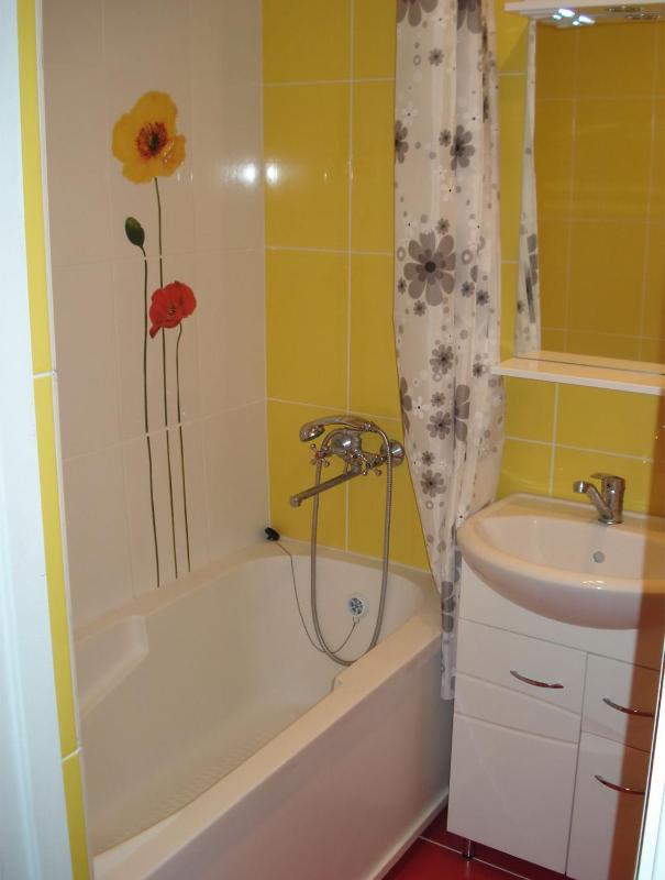 One-Bedroom Apartment image 2