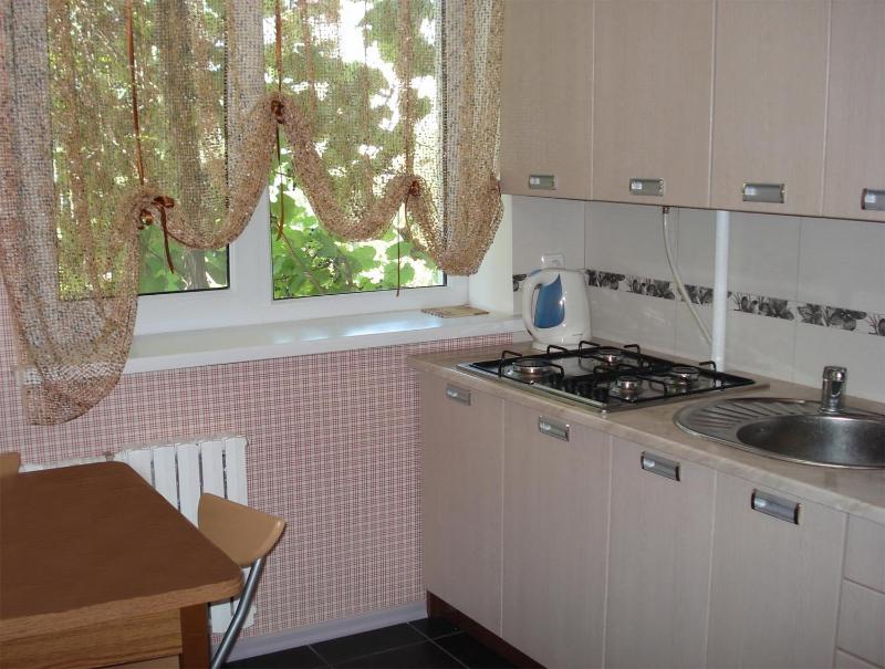 One-Bedroom Apartment image 3