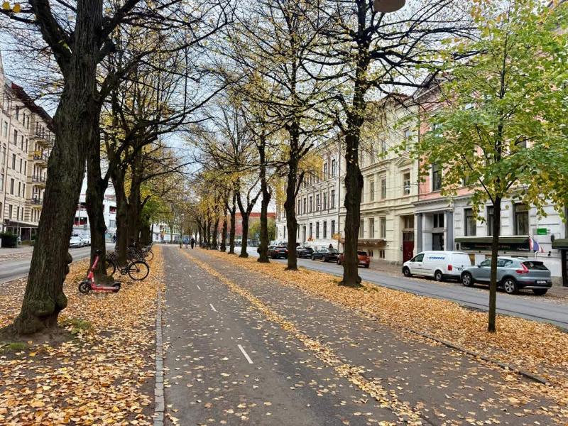 Travelers Paradise In The Heart Of The City - image 16