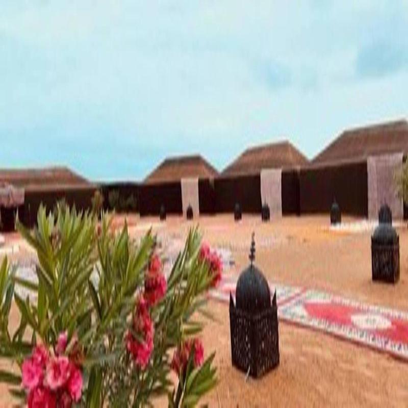 Camel Trekking Desert Camp - image 5