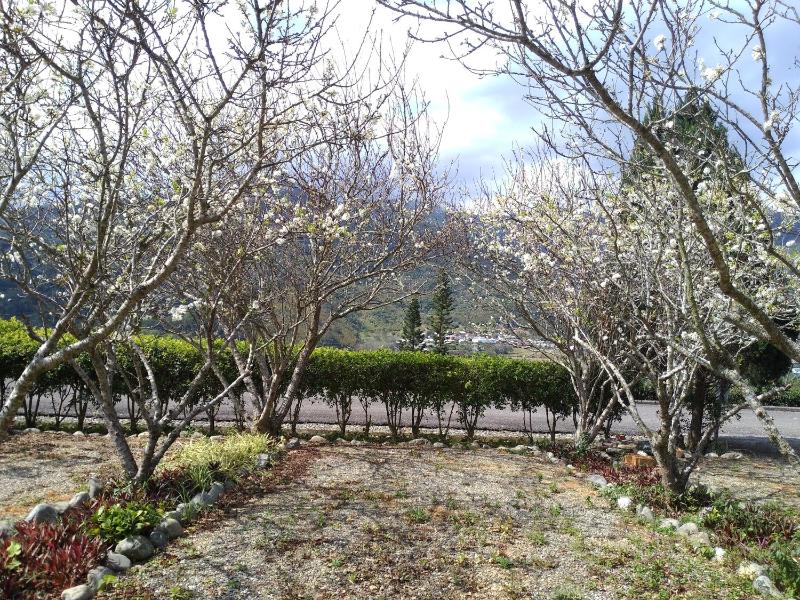 Kai Tai B&B - image 21