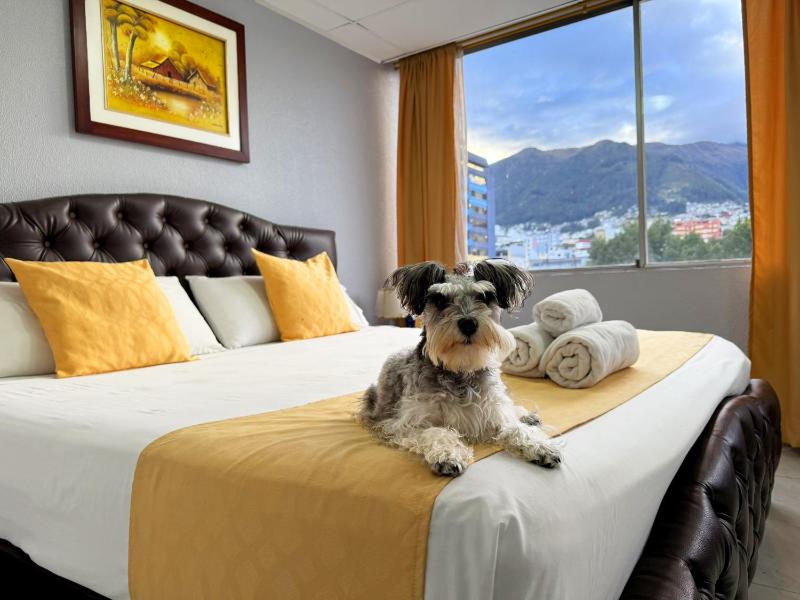Hotel Santamaria en quito - image 14