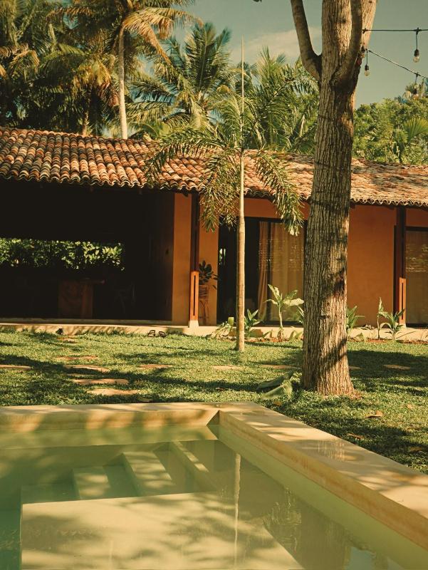 MAAR nest - image 7