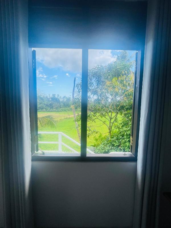 Pigsmount Villa - image 10