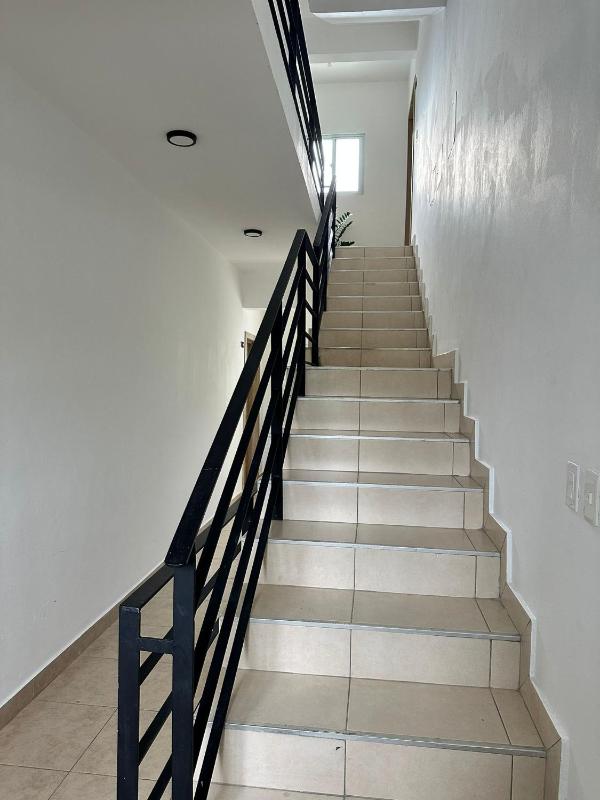 Luz y paz - image 9