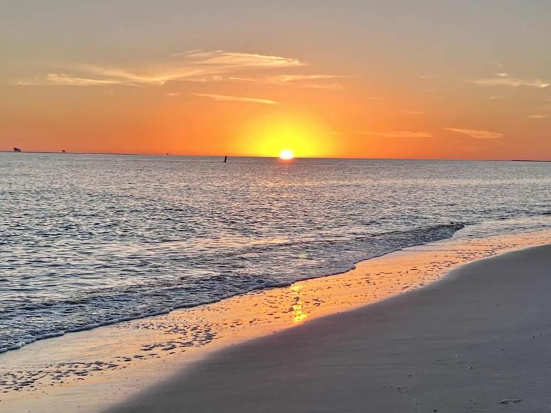 Scarlett Sunset on Dauphin Island - image 22