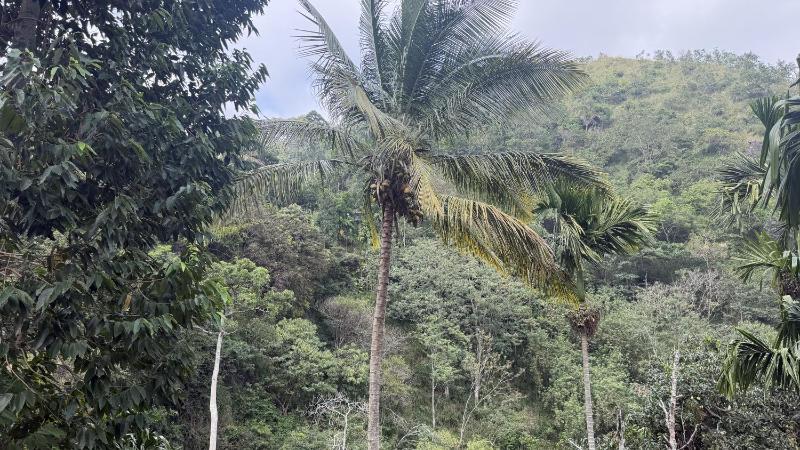 Rawana River Edge - image 44