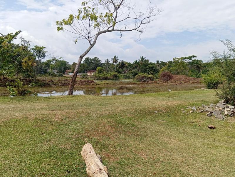 Soluna Eco Stay - image 2