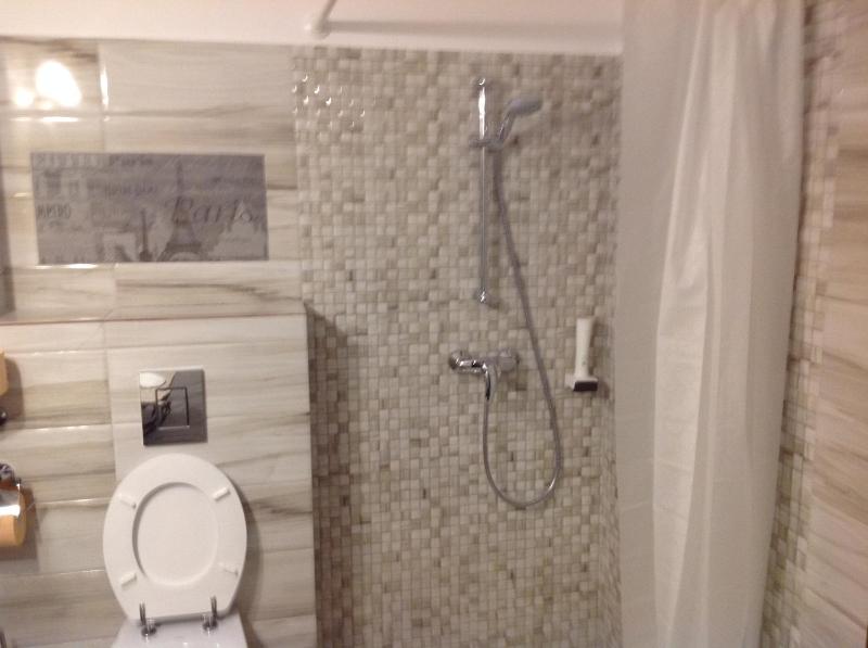 Deluxe Twin Room image 4