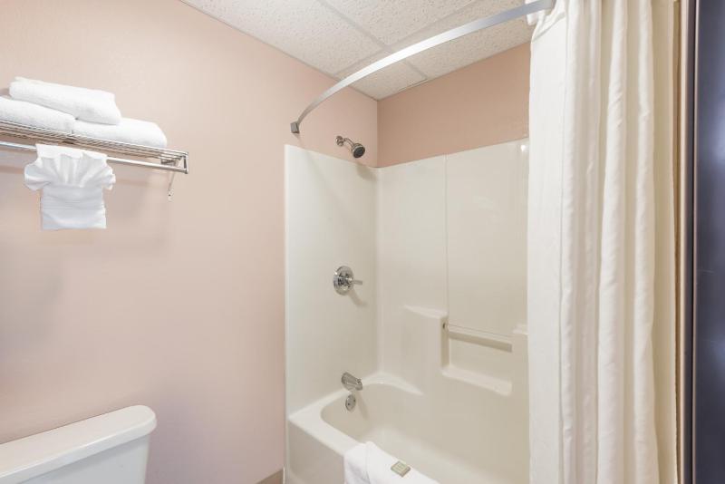 Deluxe King Studio Suite - Non-Smoking image 3
