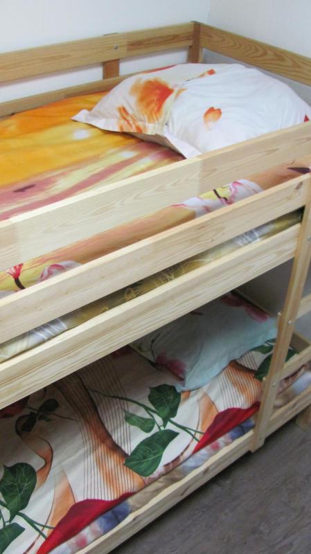 Bunk Bed in Mixed Dormitory Room image 1