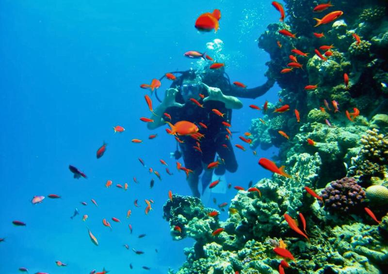 Sharm Hills Coral Beach - image 20