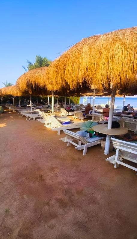 Sharm Hills Coral Beach - image 40