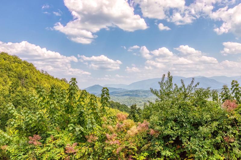 Breathtaking View Hot Tub Free Tickets Fire Pit WIFI!!! - image 38