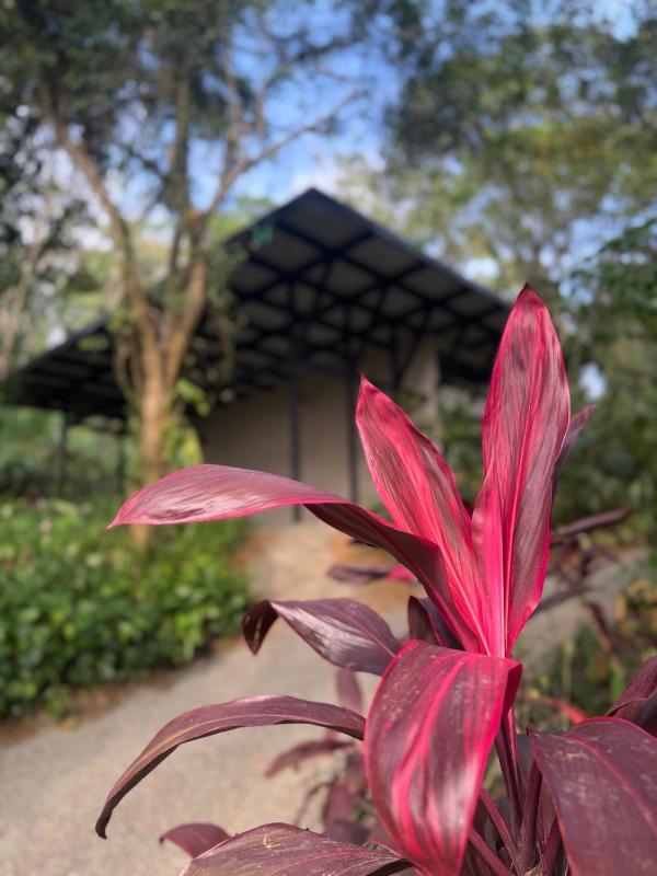 The Sevana - image 16