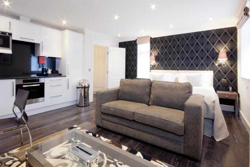 Superior Studio Apartment image 3