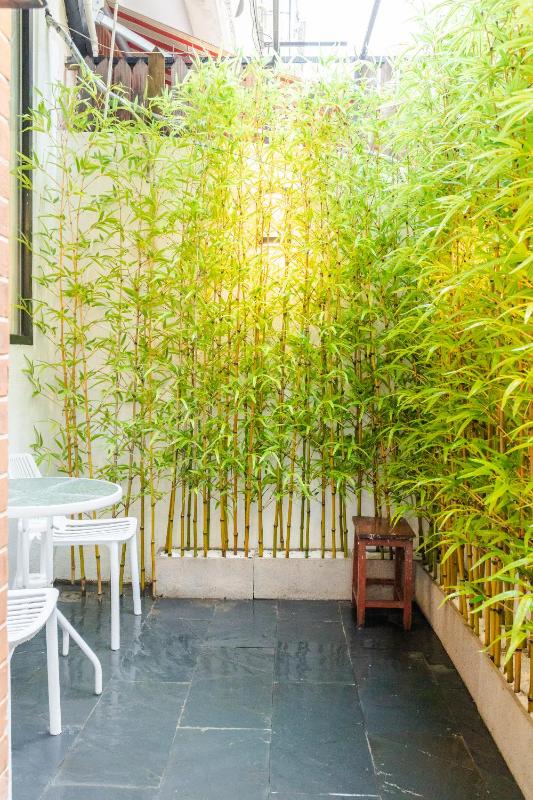NanShan - Sunny Quiet Flat with Private Outdoor Courtyard - image 2