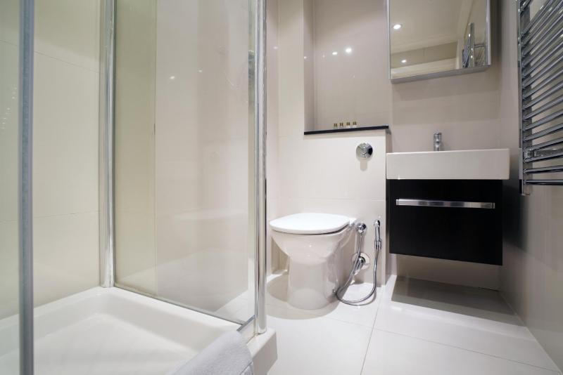 Superior Studio Apartment image 2