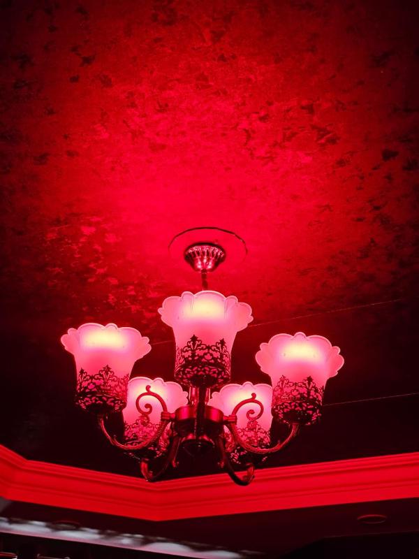 The Secret Escape - image 8