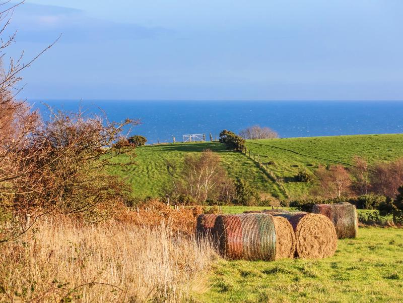 Chestnut Barn - image 46