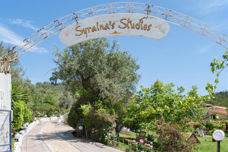 Syrainas studios - image 11