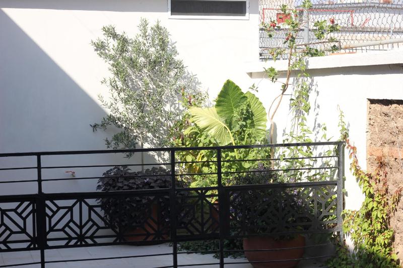 Casa Mestiza - image 10