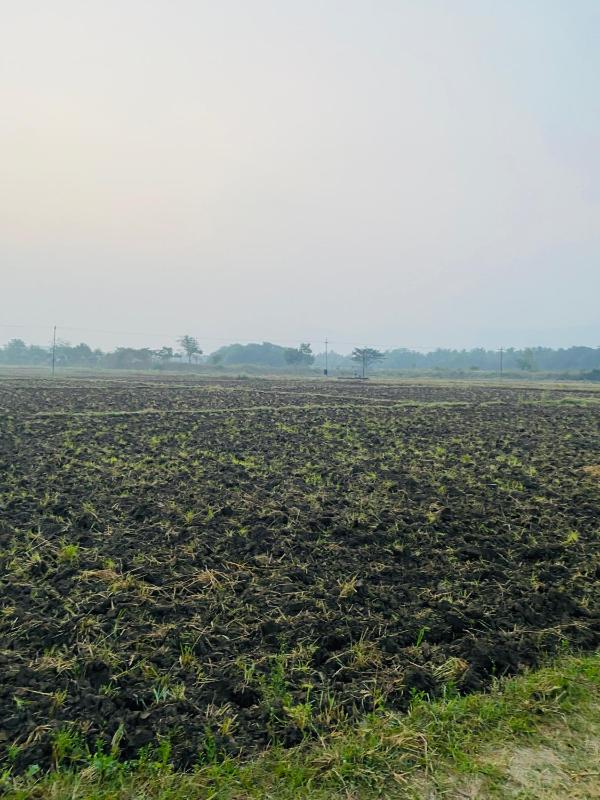 Thulir Farm Stay Near Isha Yoga Adiyogi - image 3
