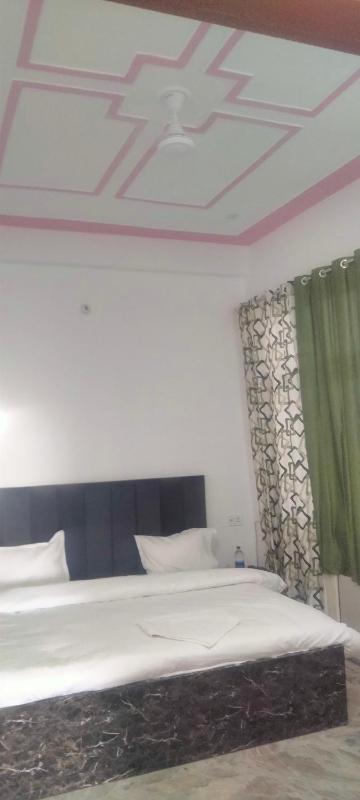 Hotel Kanha palace - image 12