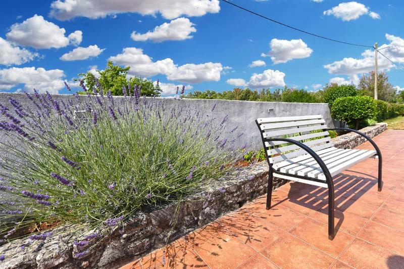 Charming home with pool in Barbariga - image 26