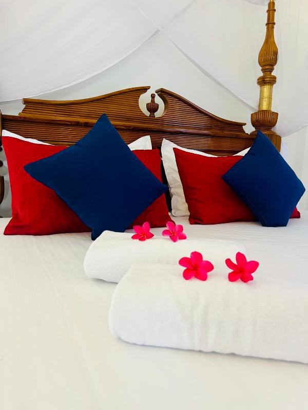 Frans Luxurious Villa - image 13