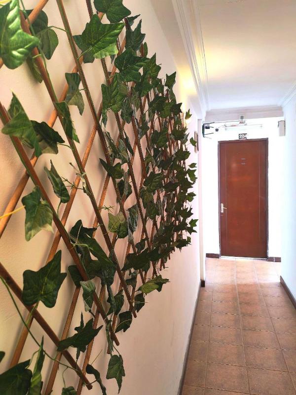 Vibes Hostel - image 14