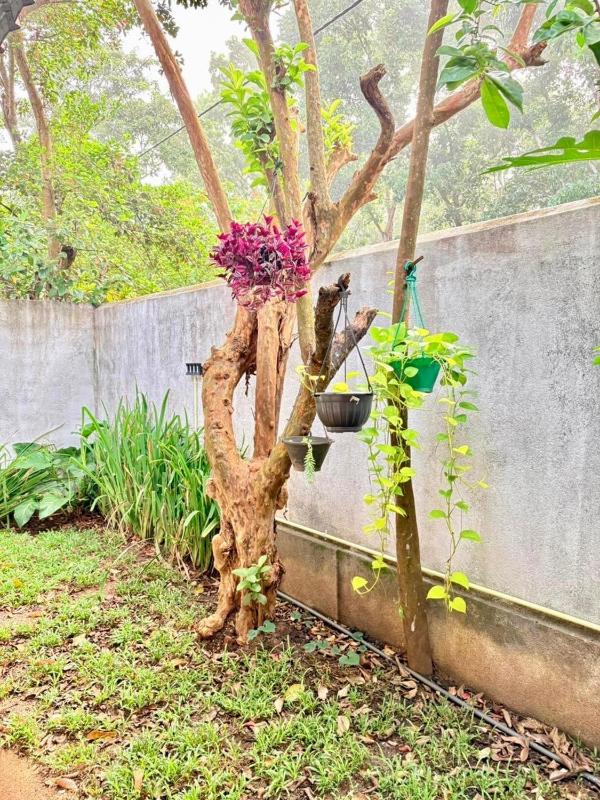 Dreamy Homestay - image 21