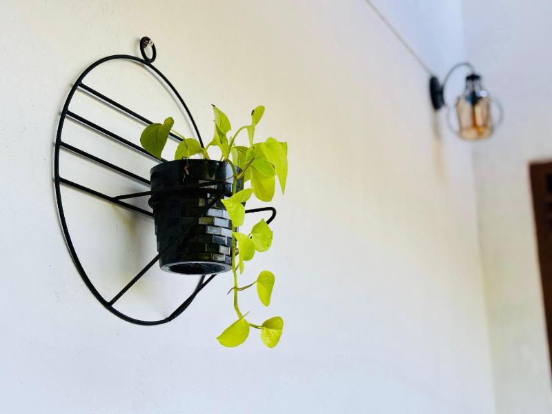 Dreamy Homestay - image 24