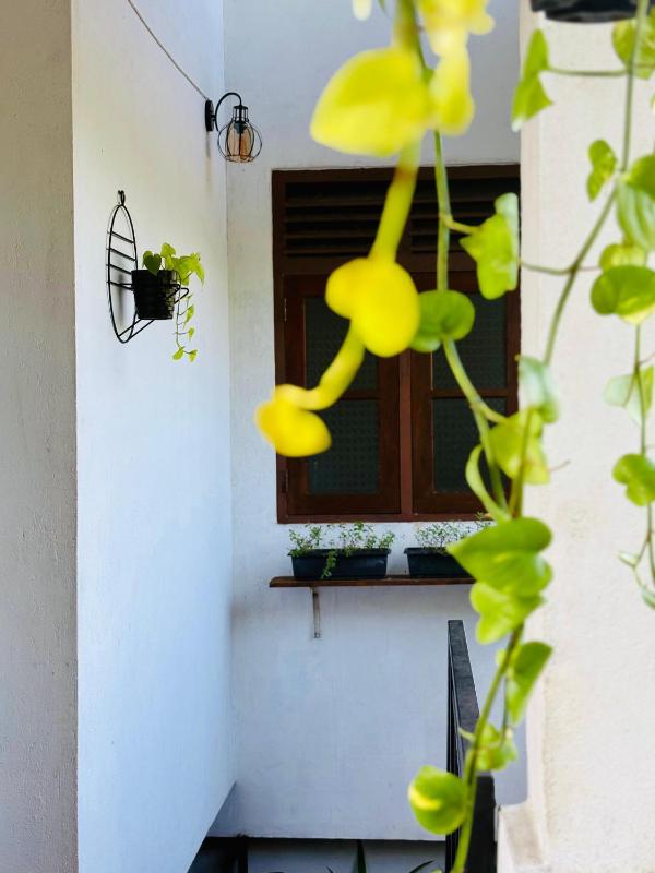 Dreamy Homestay - image 27