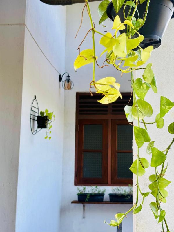 Dreamy Homestay - image 19