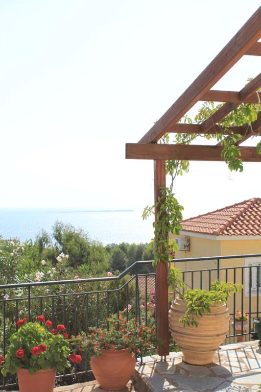 Maria's Garden Apartments - image 6
