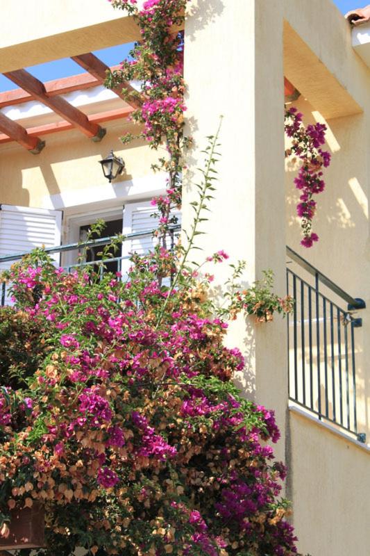 Maria's Garden Apartments - image 2