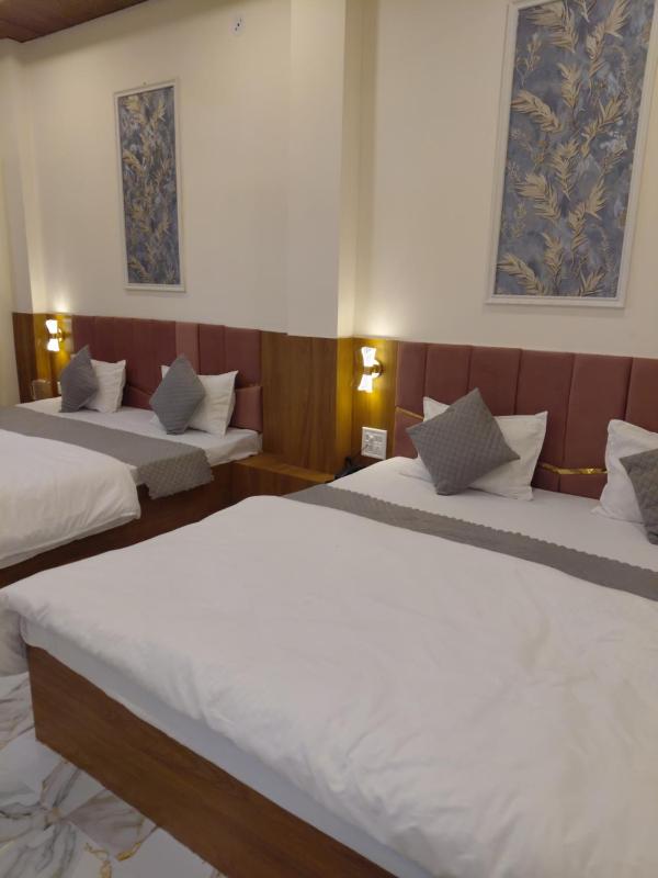 Hotel morvi palace - image 15