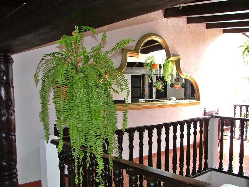 Hotel Villa Real Antigua - image 16