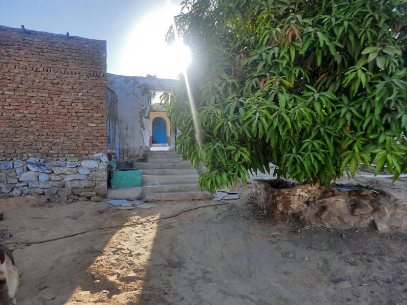 Arman House - image 11