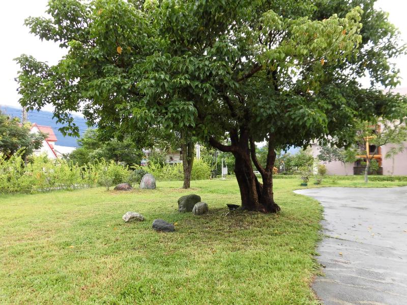 Shiang Ching Home Stay - image 6
